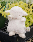 Wee Kiddo Lamb White