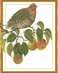 Christmas Cards-Large-Size D