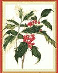 Christmas Cards-Large-Size D