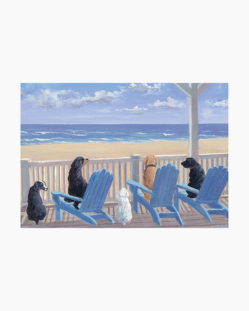 Dogs In Deck Chairs Boxed Note Cards