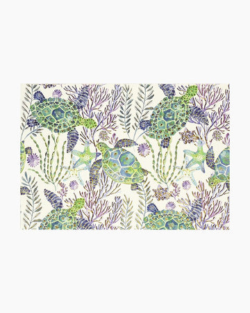 Sea Turtles Boxed Note Cards