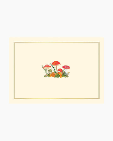 Mushrooms Boxed Note Cards