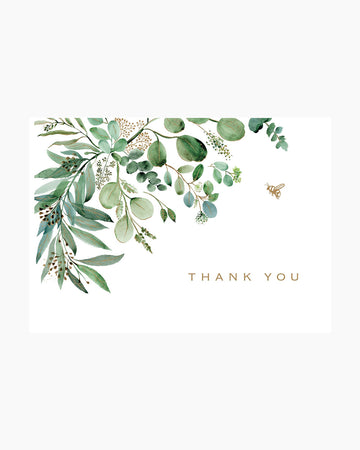 Eucalyptus Boxed Note Cards