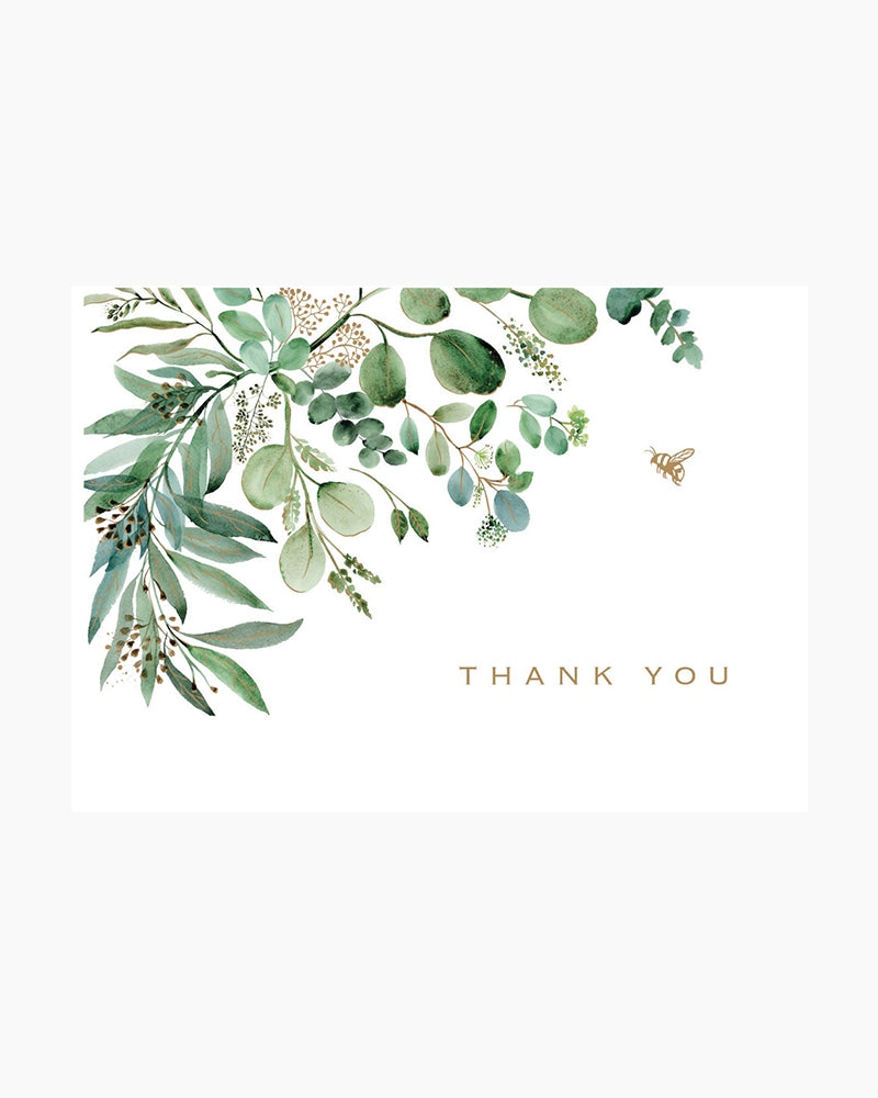 Eucalyptus Boxed Note Cards