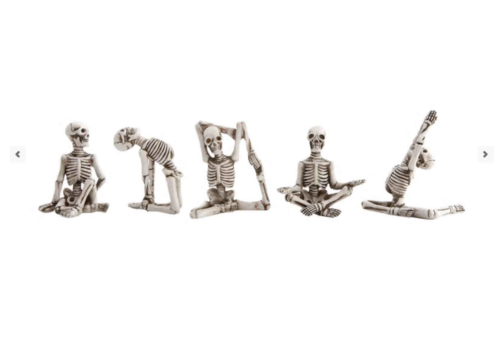 Skeleton in Yoga Pose