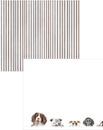 Caspari Correspondence Card