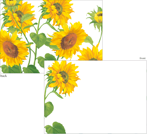 Caspari Correspondence Card