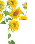 Caspari Correspondence Card