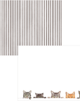 Caspari Correspondence Card