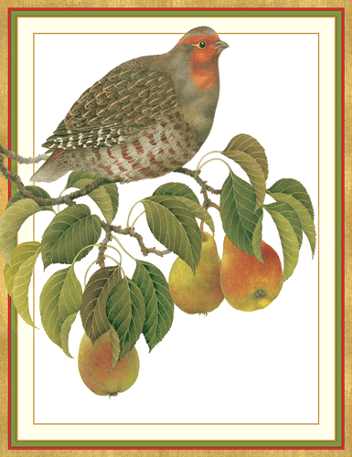 Christmas Cards-Large-Size D