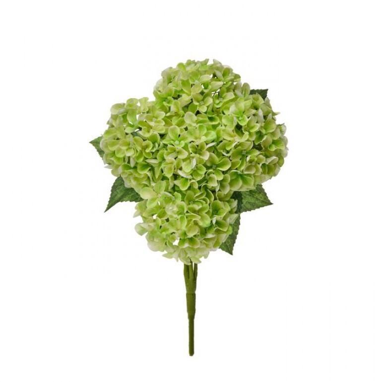 17" Hydrangea Bush