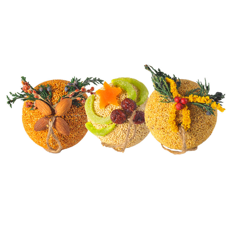 Birdseed Fruit Ball Basket