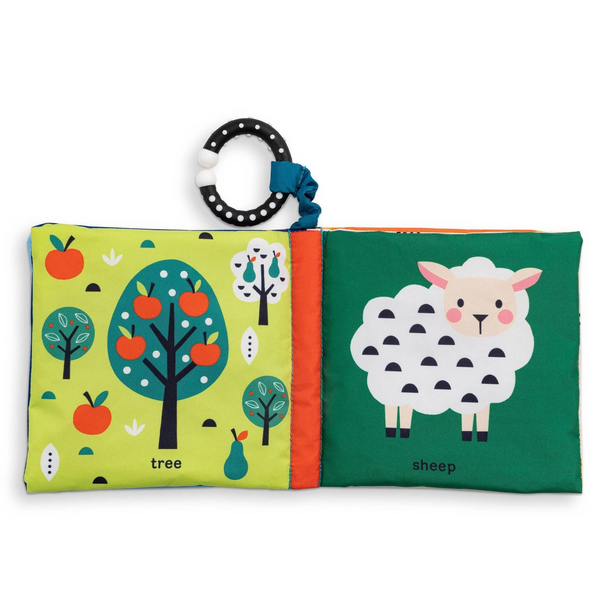 Cloth Book