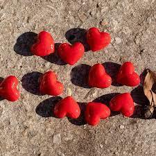 Glass Pocket Hearts