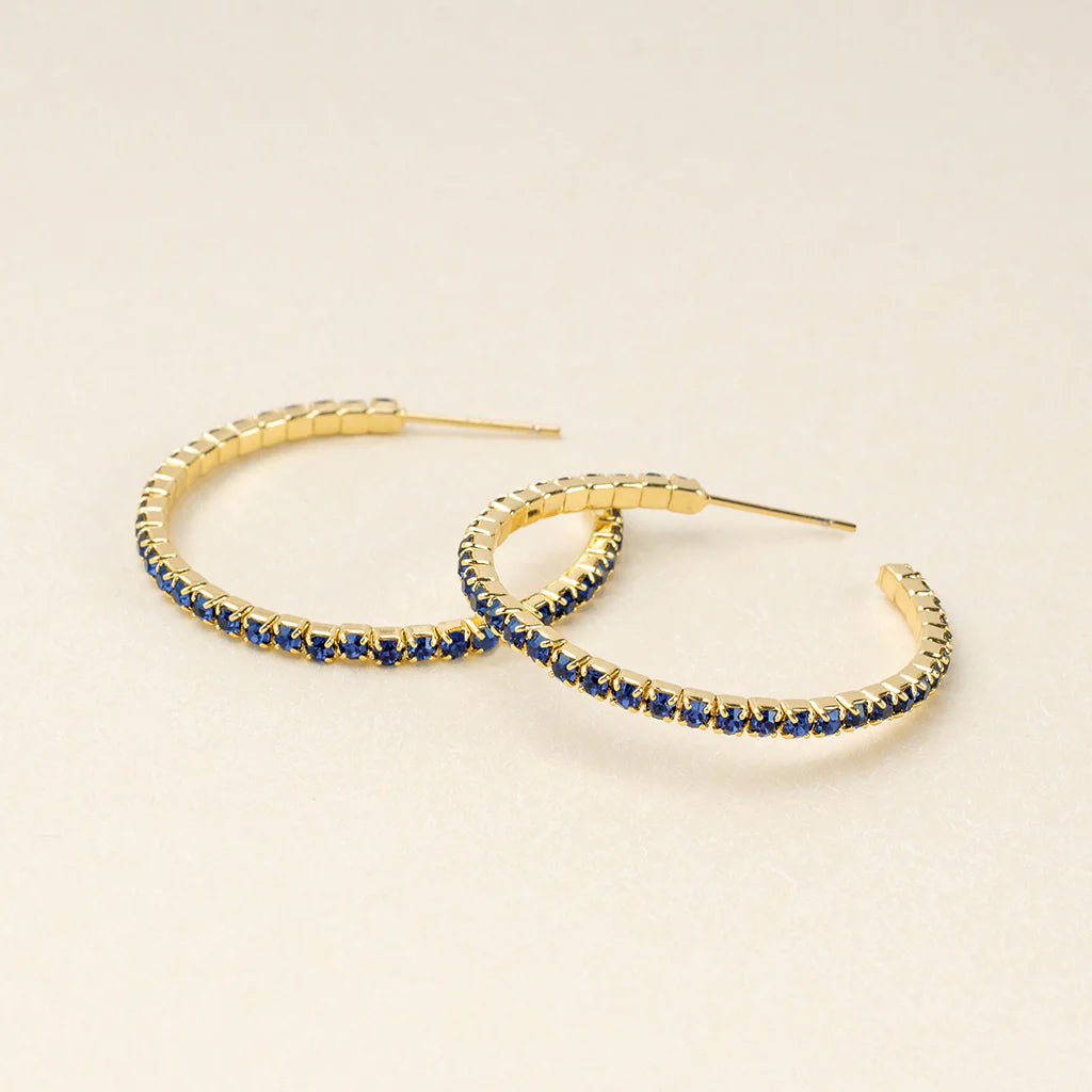 Sparkle &amp; Shine Lg Hoop Earrings