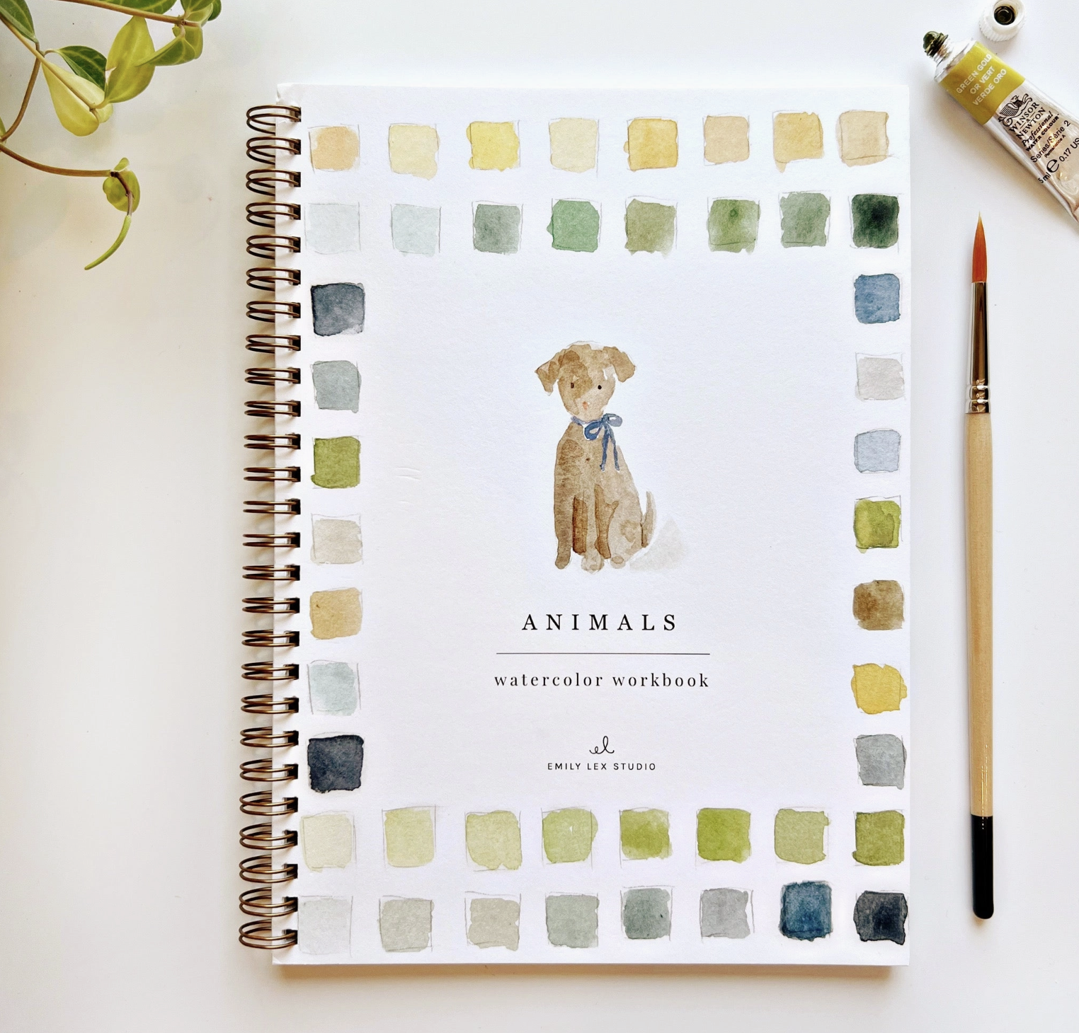 Watercolor Workbook/Paint set
