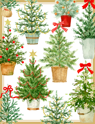 Christmas Cards-Classic-Size C