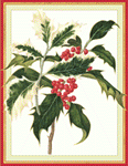 Christmas Cards-Large-Size D