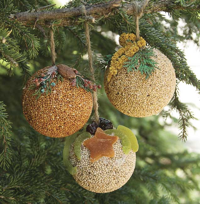 Birdseed Fruit Ball Basket