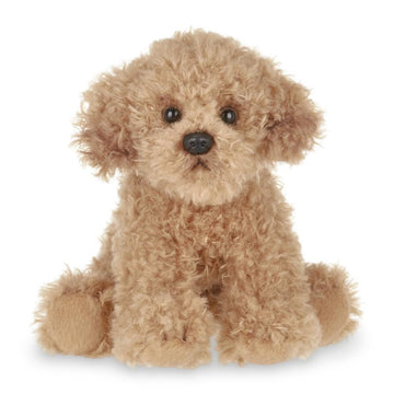 Lil' Doodles the Labradoodle