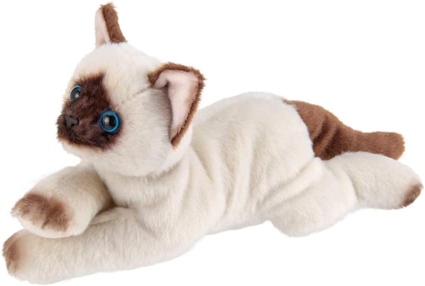 Lil' Cleo the Siamese Cat