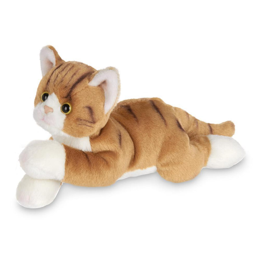 Lil' Tabby the Orange Cat
