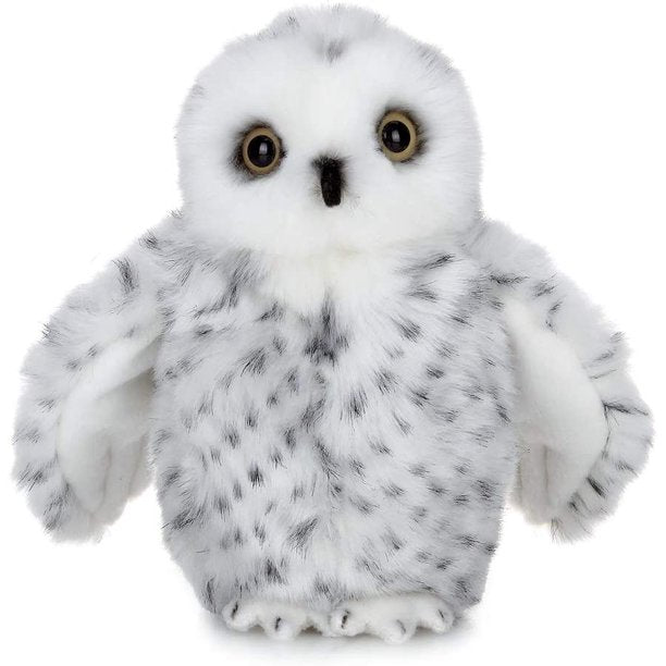 Drift the Snowy Owl