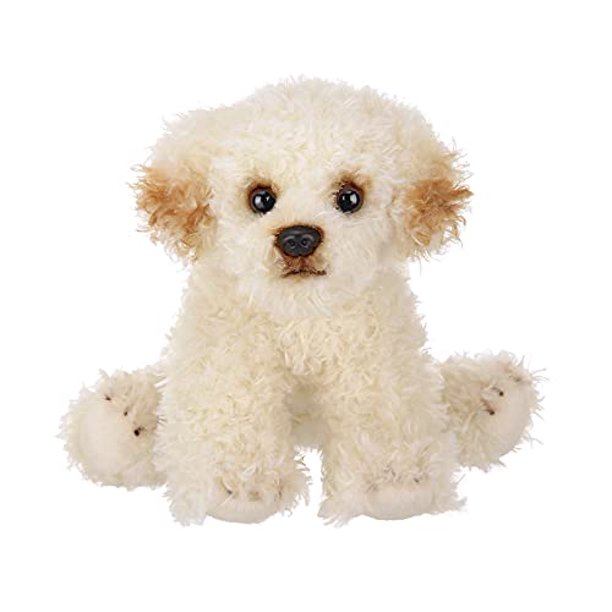 Lil' Biscuit the Labradoodle
