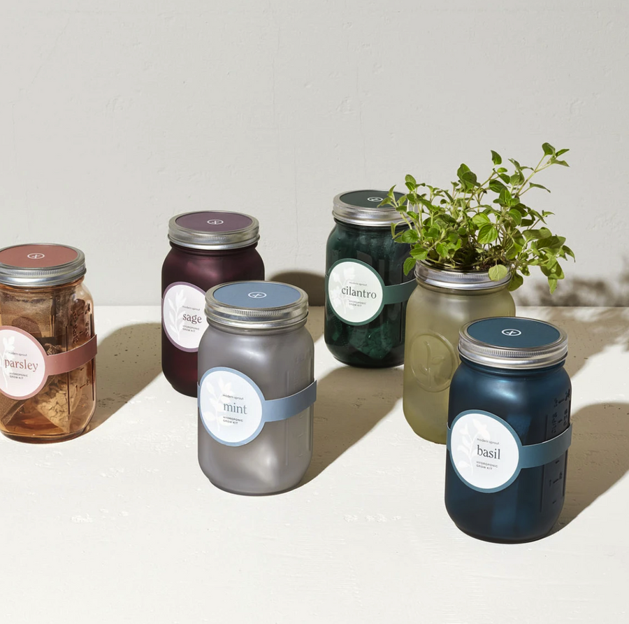 Mint Hydroponic Garden Jars