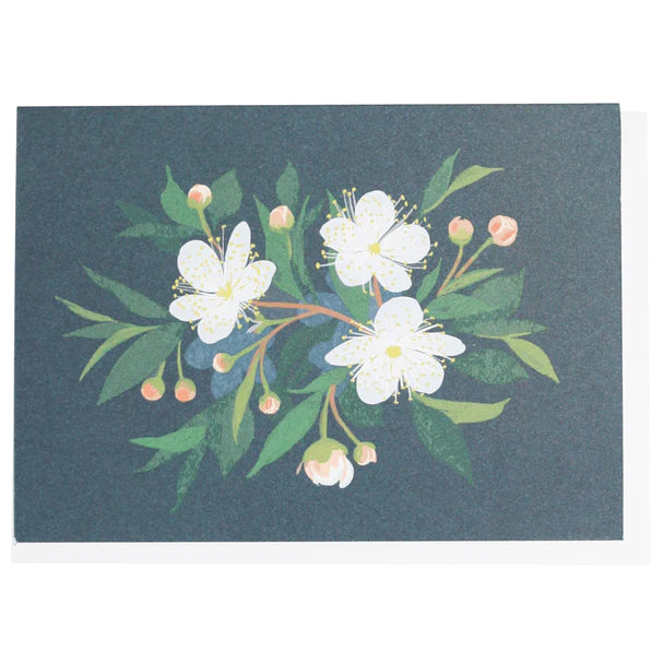 Myrtle Boxed Note Cards 10/box
