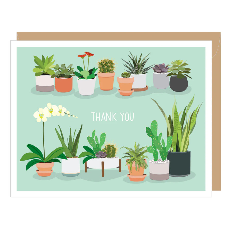 Succulents Thank You Boxed Notes