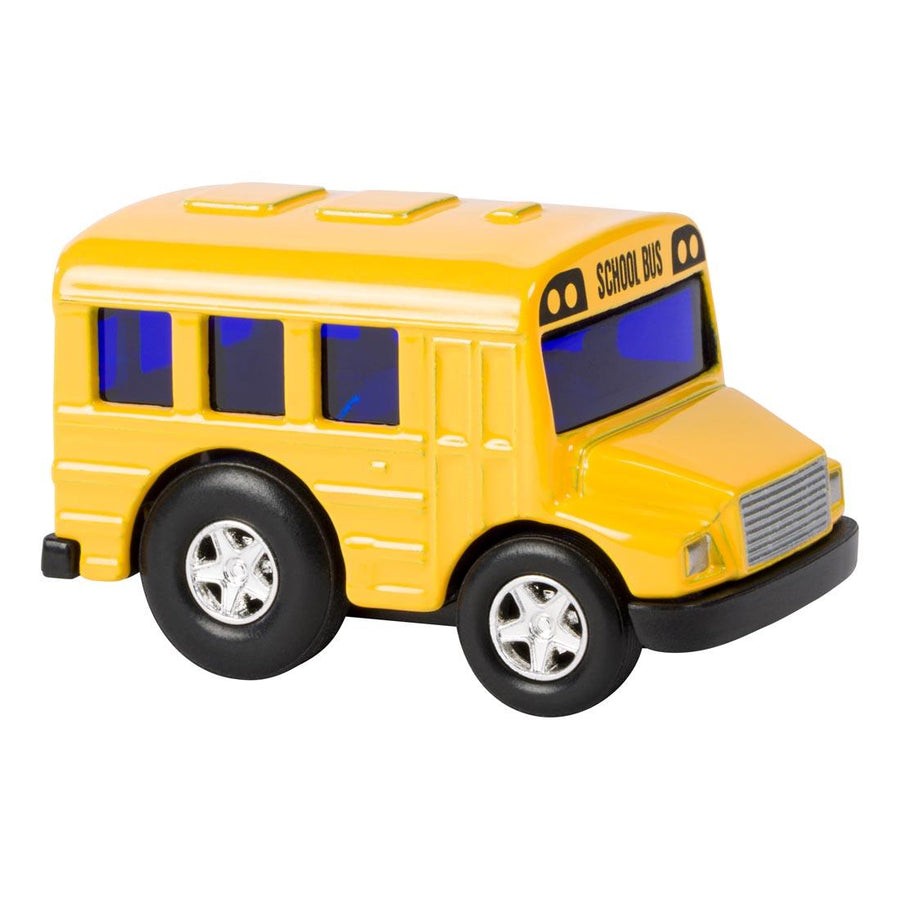Mini School Bus