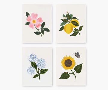 Boxed Card Set, Assorted