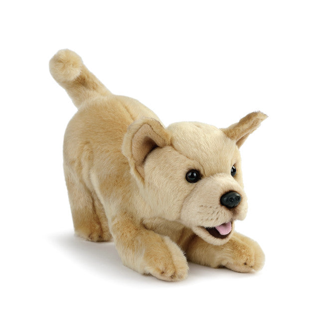Rescue Breed Plush Toy