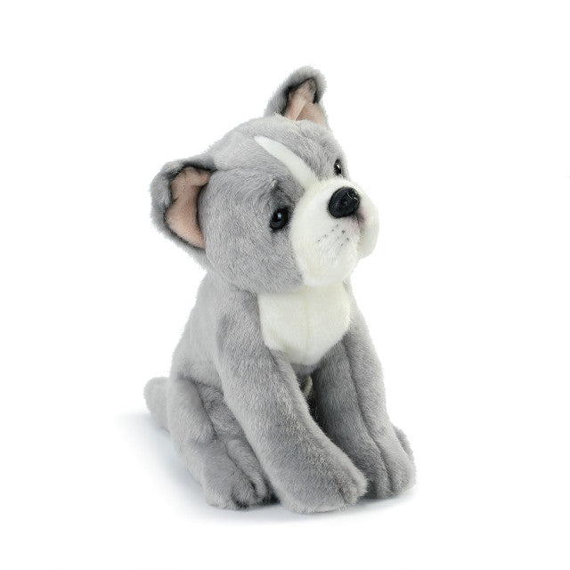 Rescue Breed Plush Toy