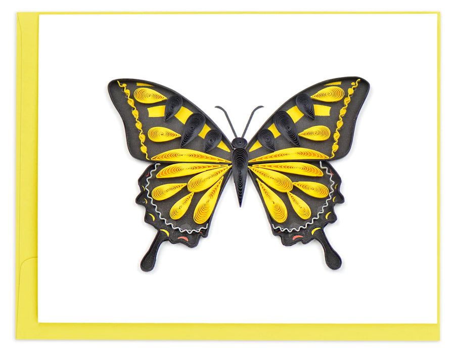 Butterfly Note Card Box Set